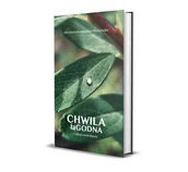 Poezja - Chwila łaGODNA. Kojące pieśni duszy - miniaturka - grafika 1