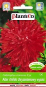 Nasiona i cebule - Aster chiński chryzantemowy wysoki czerwony nasiona 1g PlantiCo - miniaturka - grafika 1
