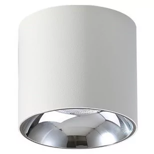 Abigali Spot LAMPA sufitowa VAIOLETT DL15W-NW Abigali metalowa OPRAWA okrągła LED 15W 4000K tuba biała DL15W-NW - Lampy sufitowe - miniaturka - grafika 1