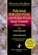 Religia i religioznawstwo - Wielki słownik hebrajsko-polski i aramejsko-polski Starego Testamentu z kodami Stronga - 2 tomy - miniaturka - grafika 1