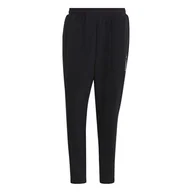 Odzież trekkingowa męska - Męskie Spodnie ADIDAS MT PANTS GM4771 – Czarny - miniaturka - grafika 1