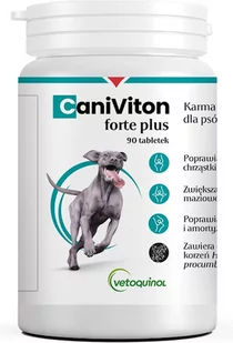 Vetoquinol Caniviton Forte Plus 90 tabletek - Suplementy i witaminy dla psów - miniaturka - grafika 1