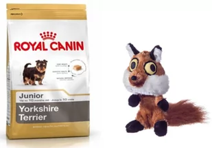 Royal Canin ROYAL CANIN Yorkshire Terrier Junior 500g 188740 - Mokra karma dla psów - miniaturka - grafika 1