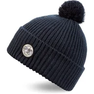 Czapki damskie - Czapka zimowa Dakine Berkley beanie blu - miniaturka - grafika 1