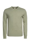 Swetry męskie - ESPRIT sweter męski, 335/Dusty Green, XXL - miniaturka - grafika 1