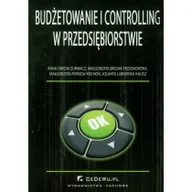 Biznes - Budżetowanie i controlling w przedsiębiorstwie - Owidia-Surmacz Anna, Brojak-Trzaskowska Małgorzata, Małgorzata Porada-Rochoń - miniaturka - grafika 1