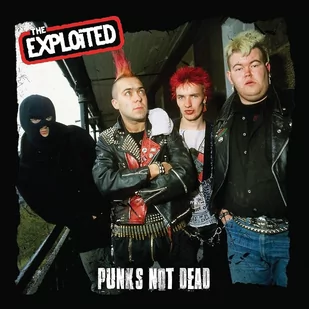 Punk's Not Dead - Winyle - miniaturka - grafika 1