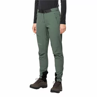Spodnie sportowe damskie - Damskie spodnie softshellowe Jack Wolfskin ZIEGSPITZ PANTS W hedge green - 38 - grafika 1
