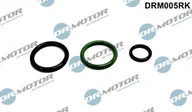 Układ zasilania - akcesoria - Zestaw naprawczy, pompowtryskiwacz (pde) Dr.motor Automotive DRM005RK - miniaturka - grafika 1