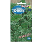 Nasiona i cebule - SZPINAK NOWOZELANDZKI 5G - miniaturka - grafika 1