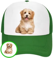 Czapki i chusty sportowe męskie - CZAPKA Z DASZKIEM PSY PIES PIESKI DLA DZIECI SIATKA ZIELONA BEJSBOLÓWKA - miniaturka - grafika 1