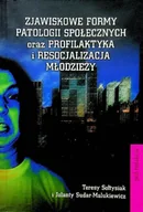 Psychologia - Zjawiskowe formy patologii społecznych oraz profilaktyka i resocjalizacja młodzieży - miniaturka - grafika 1