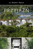 Filozofia i socjologia - Przyjaźń - Robert Nęcek - miniaturka - grafika 1