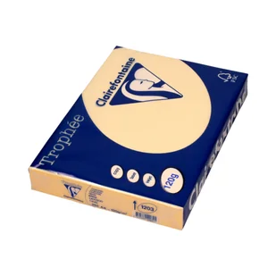 . Papier ksero A4 kremowy 120g - Papier do drukarek - miniaturka - grafika 1