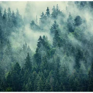 Fototapety - Fototapeta Las Mgła Drzewa Krajobraz Górski 200x140 cm Tapeta Do Sypialni Salonu Kuchni Na Flizelinie - miniaturka - grafika 1