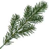 Sztuczne kwiaty - [68yd1001] Gałązka ozdobna świerk zielona pięć krótkich ramion 25cm - miniaturka - grafika 1