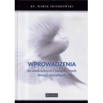 Skierkowski ks. Marek Wprowadzenia do niedzielnych i światecznych... - Religia i religioznawstwo - miniaturka - grafika 2