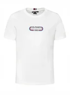 Koszulki męskie - Koszulka T-shirt Tommy HILFIGER MW0MW34429 rozmiar L - miniaturka - grafika 1