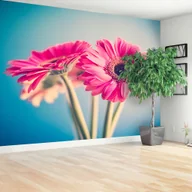 Fototapety - Fototapeta Różowe kwiaty - miniaturka - grafika 1