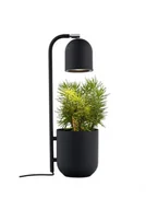 Lampy stojące - Kaspa Lampa stołowa Botanica 40842102 nowoczesna czarna oprawa z doniczką 40842102 - miniaturka - grafika 1