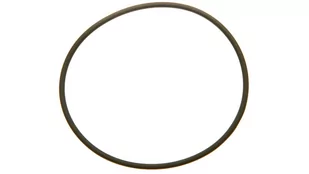 Lapp Kabel Uszczelka do dławnicy M16 SKINDICHT O-Ring VITON M16/13X2 52122010 52122010 - Kanały kablowe - miniaturka - grafika 1