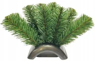 Ozdoby bożonarodzeniowe - Doniczka Zalewana Mały Fokus Podkład Na Stroik Cemenciak Gałązki Zielone - miniaturka - grafika 1