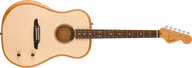 Gitary akustyczne - Fender Highway Series Dreadnought Rosewood Fingerboard Natural - miniaturka - grafika 1