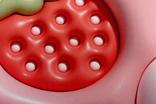 Mata łazienkowa 3D Antypoślizgowa Chłonna Magic 29 - Dywaniki łazienkowe - miniaturka - grafika 4