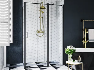 Besco drzwi prysznicowe Exo-C Black 120 - Kabiny prysznicowe - miniaturka - grafika 1