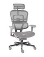 Fotele i krzesła biurowe - Fotel biurowy Ergohuman 2 Basic GS Grey - szary, ergonomiczny fotel siatkowy - miniaturka - grafika 1