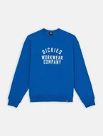 Bluzy męskie - felpa uomo dickies graphic hoodie 3 - dk0a85st j531 turkish sea - miniaturka - grafika 1