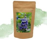 Zioła - PROHERBIS Niepokalanek mnisi. Herbatka dla kobiet 100g - miniaturka - grafika 1