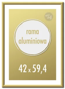 Ramka na zdjęcia 42x59,4 cm A2 Ramki aluminiowe 59,4x42 cm złota - Ramki na zdjęcia - miniaturka - grafika 1