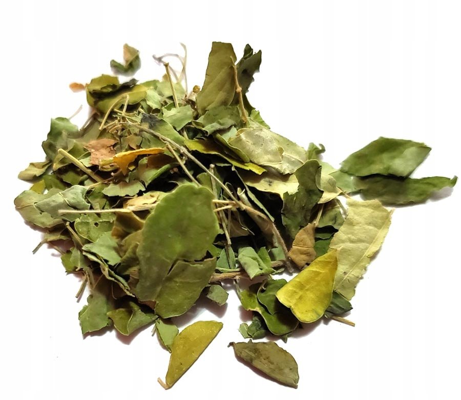 Moringa Oleifera Liść 1kg