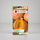Nasiona i cebule - Dynia olbrzymia Justynka F1 Pomarańczowa 4g - Nasiona - W. Legutko - miniaturka - grafika 1