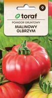 Nasiona i cebule - Nasiona TORAF - POMIDOR GRUNTOWY Malinowy Olbrzym 0.5g - miniaturka - grafika 1