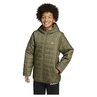 Kurtki i płaszcze dla chłopców - adidas Uniseks - dzieci ESSENTIALS LIGHT PADDED JACKET, olive strata/REFLECTIVE SILVER, 13-14 Years - miniaturka - grafika 1