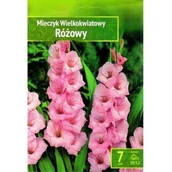 Nasiona i cebule - Mieczyk Różowy Benex - miniaturka - grafika 1