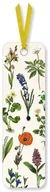 Zakładki do książek - Zakładka do książki Botanical Illustration - Museums & Galleries - miniaturka - grafika 1