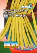 Nasiona i cebule - Fasola żółta karłowa Brittle Wax 30g / L / - miniaturka - grafika 1