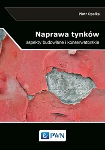 Naprawa tynków - Technika - miniaturka - grafika 1