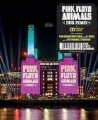 Filmy muzyczne Blu-Ray - Animals (2018 Remix) - miniaturka - grafika 1