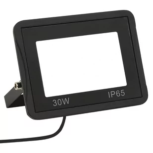 vidaXL Naświetlacz Reflektor LED 30 W zimne białe światło 149618 - Lampy pozostałe - miniaturka - grafika 1