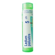 Homeopatia - Boiron Ledum palustre, 5 CH, gran., 4 g,(MZ19312) 3073505 - miniaturka - grafika 1