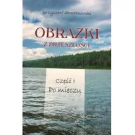 Pamiętniki, dzienniki, listy - PCPapier Andrzej Robert Pawłowski Obrazki z przeszłości T.1 Po mieczu Krzysztof Strzałkowski - miniaturka - grafika 1