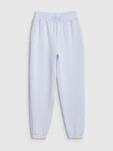 Damskie spodnie dresowe joggery 4F 4FWSS25TTROF1010 - niebieskie - Spodnie sportowe damskie - miniaturka - grafika 1