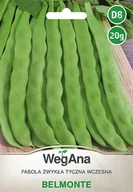 Nasiona i cebule - Fasola zwykła tyczna wczesna Belmonte 20g nasiona - WegAna - miniaturka - grafika 1