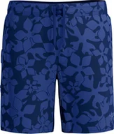 Spodnie sportowe męskie - Męskie Szorty Print Brdshrt 18" fiery red/white/french blue rozmiar 34 - miniaturka - grafika 1