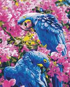 Malowanie po numerach - Malowanie po numerach Niebieskie Papugi Ara - miniaturka - grafika 1