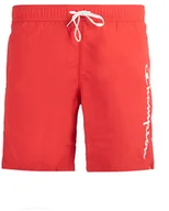 Kąpielówki męskie - Spodenki kąpielowe Champion - miniaturka - grafika 1